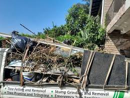 Best Basement Cleanout  in Wailua, HI